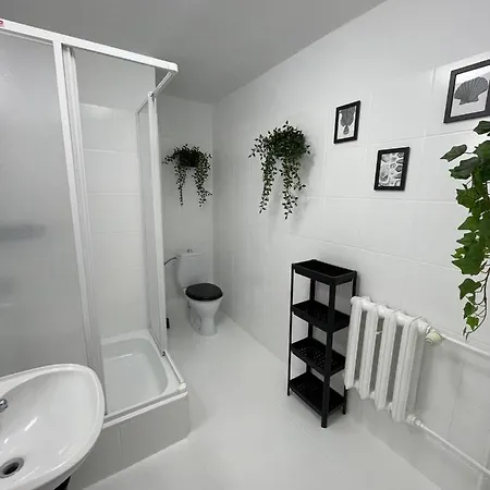 Great Polonia B&B 미엘노